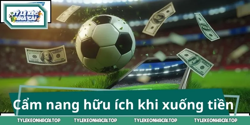 Cẩm nang hữu ích khi xuống tiền cược